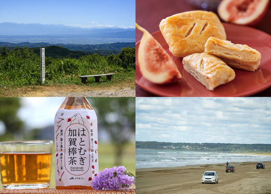 【石川県】町の美味しいもの紹介します（宝達志水町編）