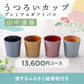 山中漆器うつろいカップ プレミアムギフトバコ