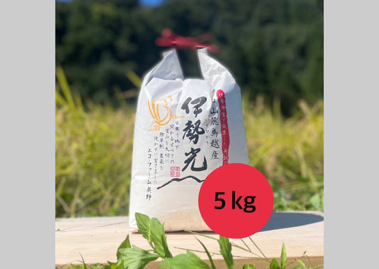 イセヒカリ(白米・玄米)3kg・5kg・10kg