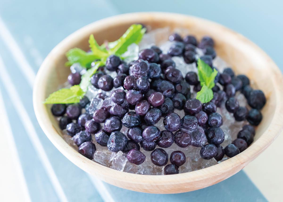 フローズンブルーベリーセット（ビネガージェラート6個・冷凍ブルーベリー200g）