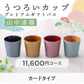【カードタイプ】山中漆器うつろいカップ プレミアムギフトバコ